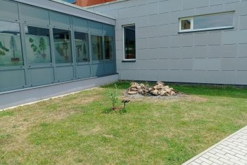 Jezírko a ještěrkoviště: Náš přírodopisný projekt pro přírodu