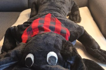 Otevření relaxační místnosti jako jeden z kroků podpory wellbeingu v ZŠ Řeporyje